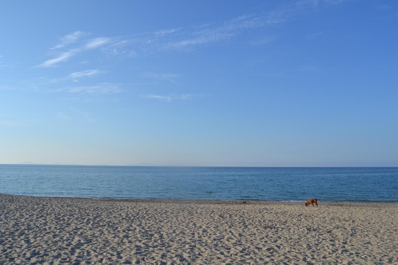 Miramare Struttura Sulla Spiaggia Платамона Екстериор снимка